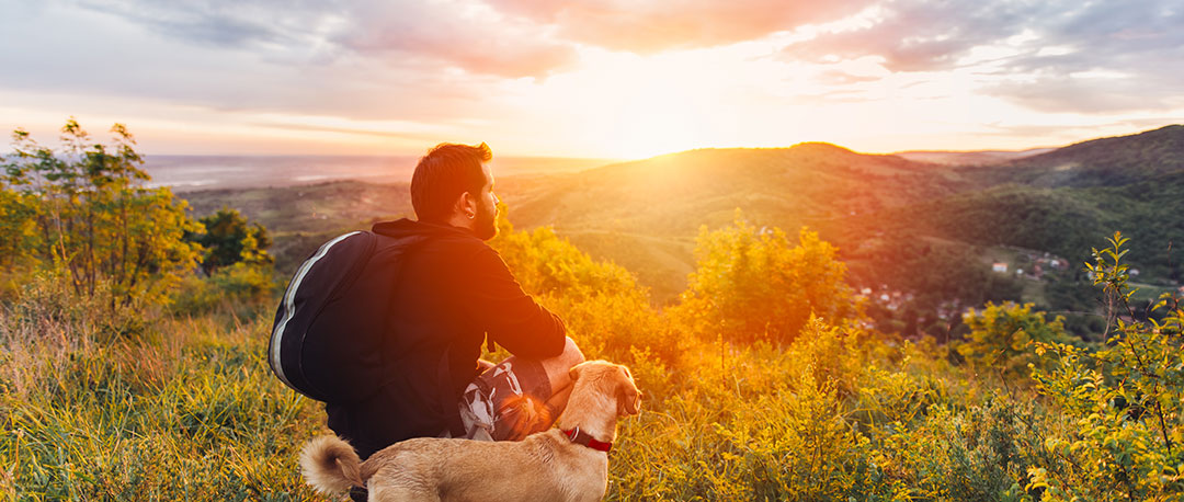 Man with Dog Enjoying a Mountain Sunset