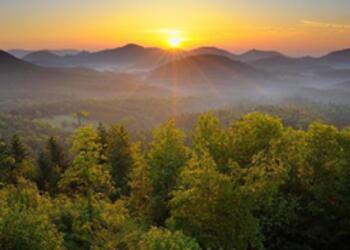 Smoky Mountains Pet-Friendly Travel Guide