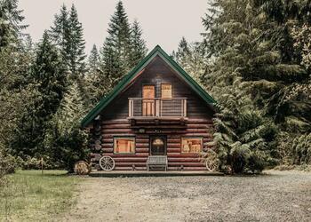 11SL - Wi-Fi - NO PETS  Log Cabin - Sleeps 7